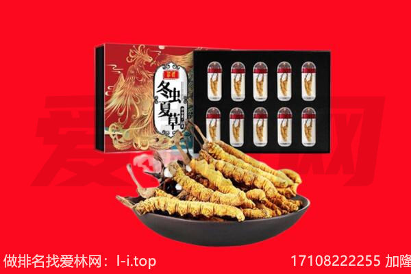 松阳县回收虫草.jpg